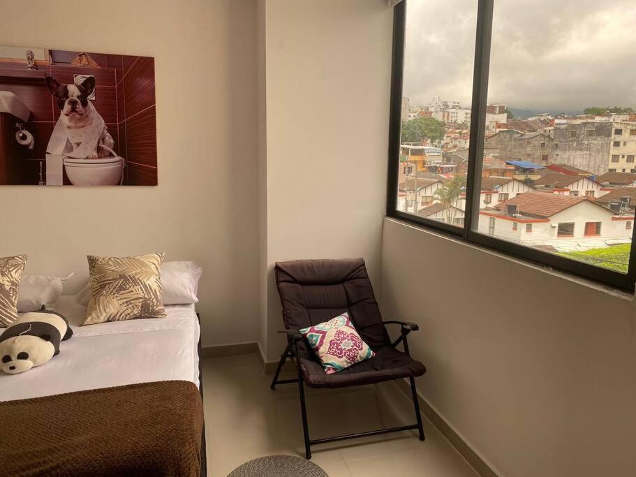 Hermoso 402 F1 Ibague